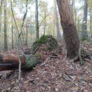 Meet your Posher, Patti